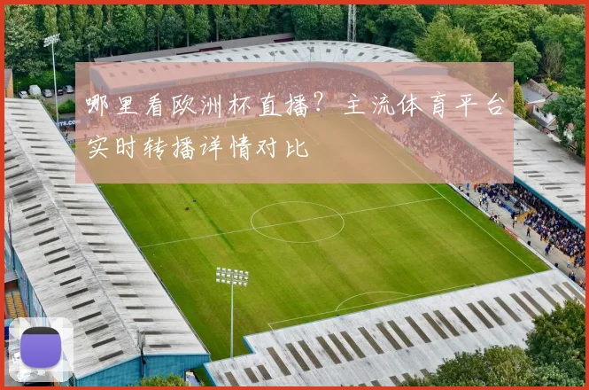 哪里看欧洲杯直播？主流体育平台实时转播详情对比