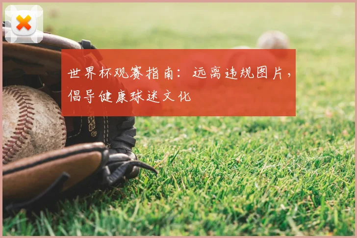 世界杯观赛指南：远离违规图片，倡导健康球迷文化