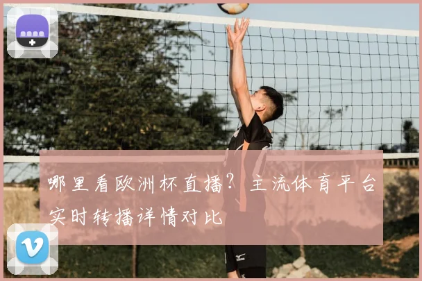 哪里看欧洲杯直播？主流体育平台实时转播详情对比