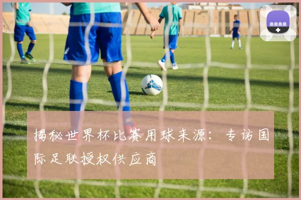 揭秘世界杯比赛用球来源：专访国际足联授权供应商