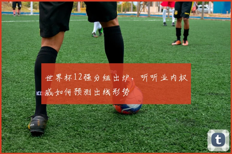 世界杯12强分组出炉,听听业内权威如何预测出线形势