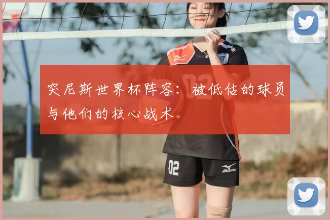 突尼斯世界杯阵容：被低估的球员与他们的核心战术。