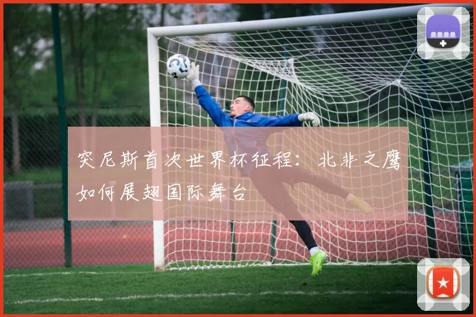 突尼斯首次世界杯征程：北非之鹰如何展翅国际舞台