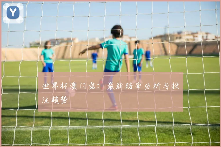 世界杯澳门盘：最新赔率分析与投注趋势