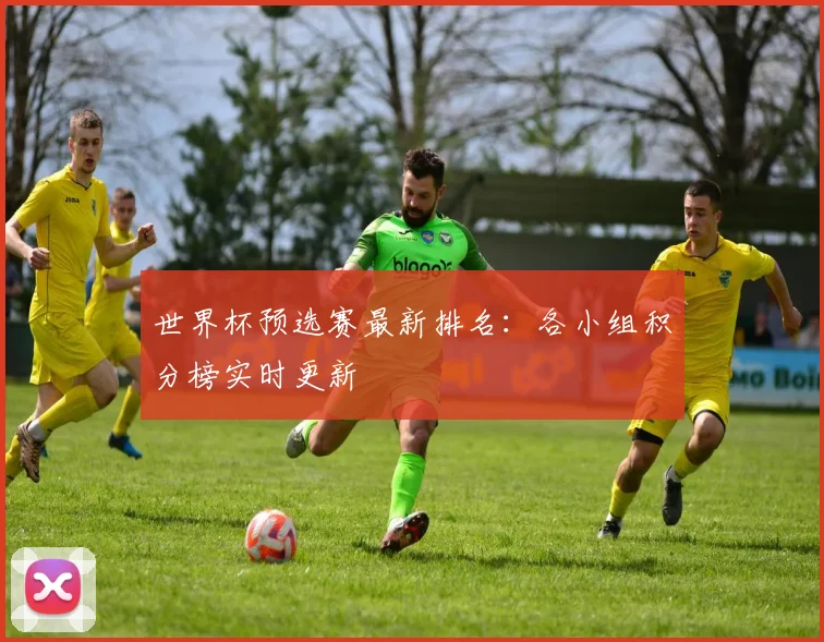 世界杯预选赛最新排名:各小组积分榜实时更新