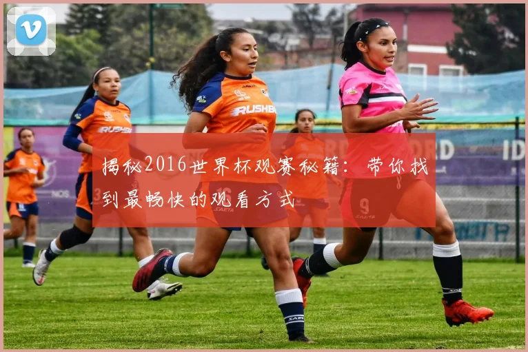 揭秘2016世界杯观赛秘籍：带你找到最畅快的观看方式