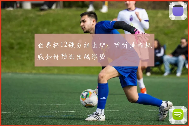 世界杯12强分组出炉,听听业内权威如何预测出线形势