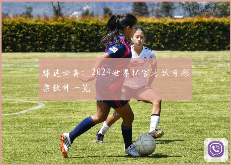 球迷必备：2024世界杯官方认可彩票软件一览