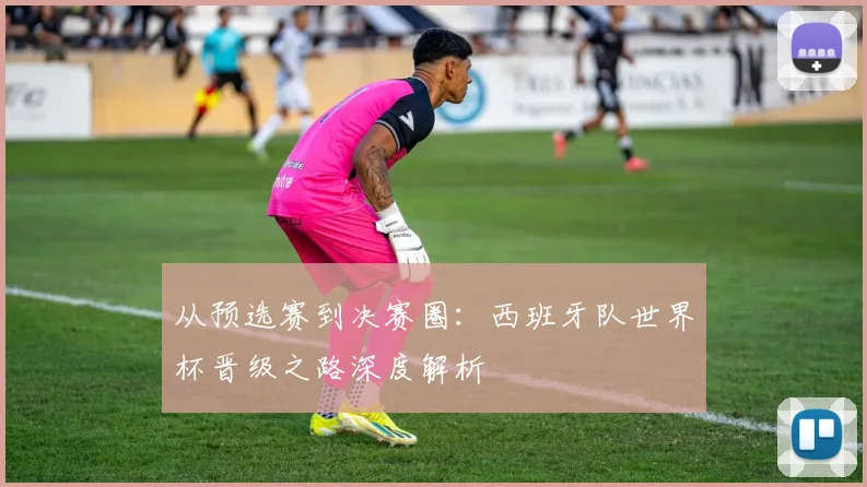 从预选赛到决赛圈：西班牙队世界杯晋级之路深度解析